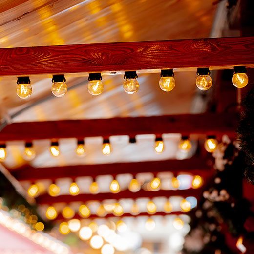 Outdoor Lighting Experts in Monroe